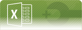 Microsoft® Excel® Add-In